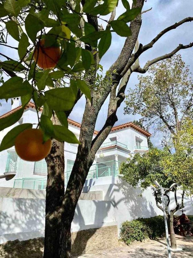 Nuevo Los Almendros 204 Complejo Turistico Apartment กอร์โดบา ภายนอก รูปภาพ